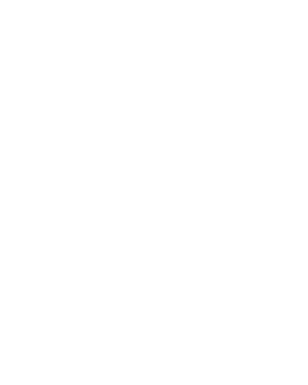 El bazar de la abiba